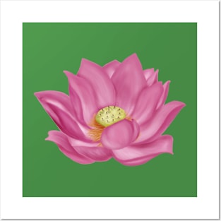 Pink Lotus Blossom Digital Art Posters and Art